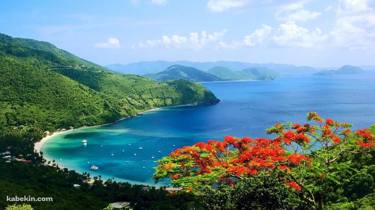 綺麗な湾の壁紙(1242px x 698px) 高画質 PC・デスクトップ用