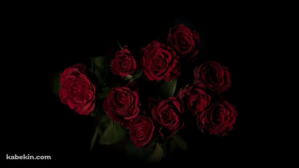 綺麗な赤い薔薇 花束の壁紙(1024px x 576px) 高画質 PC・デスクトップ用