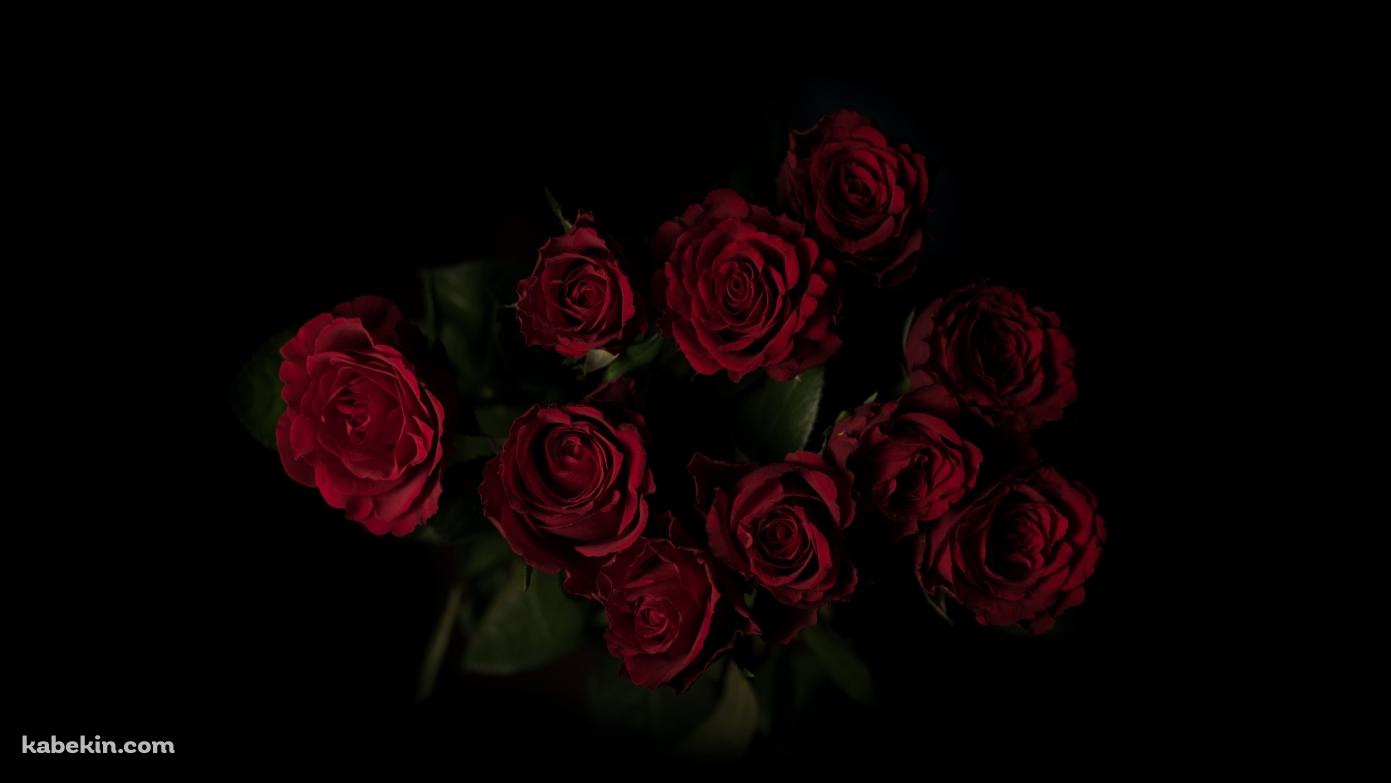 綺麗な赤い薔薇 花束の壁紙(1391px x 783px) 高画質 PC・デスクトップ用