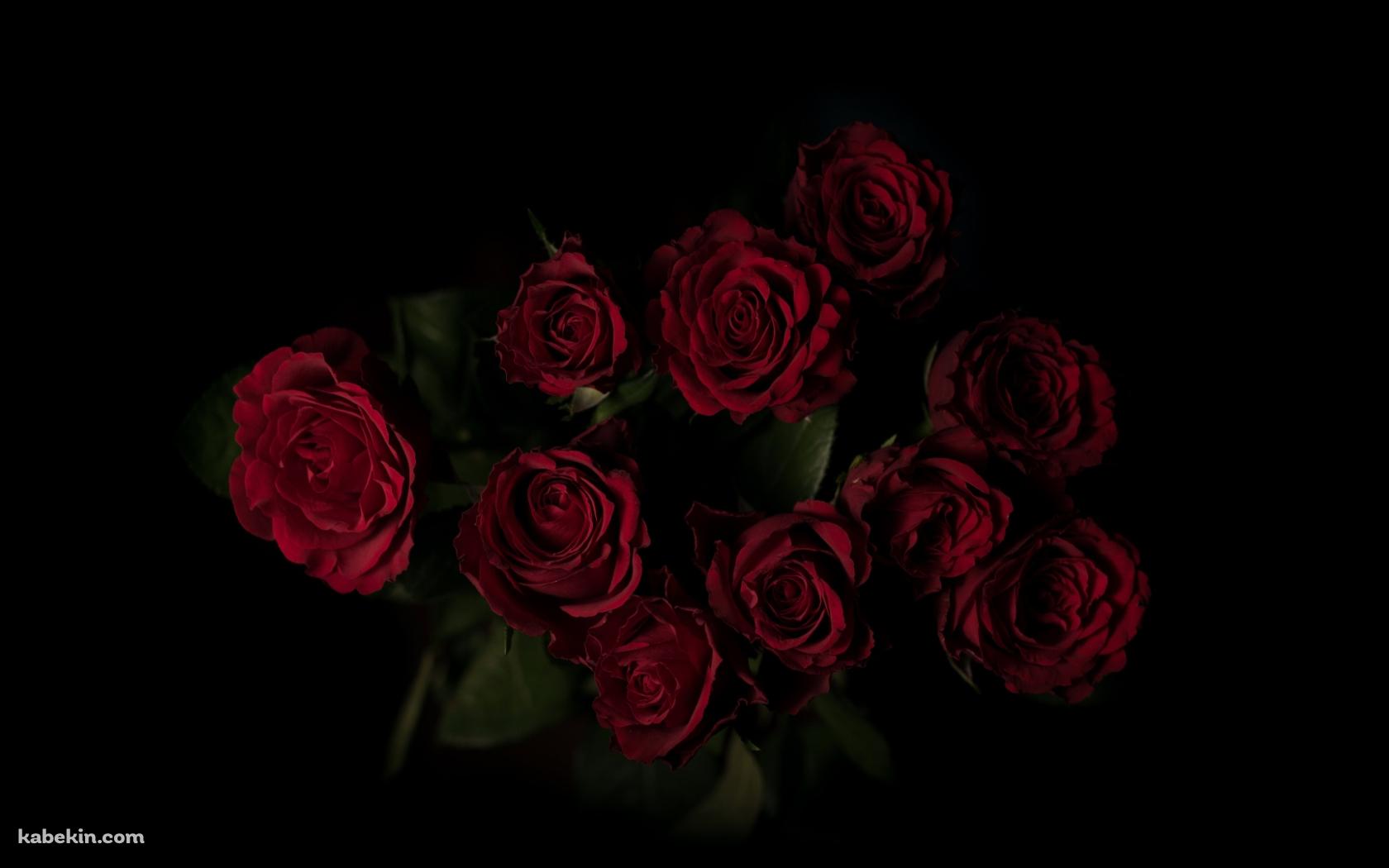 綺麗な赤い薔薇 花束の壁紙(1680px x 1050px) 高画質 PC・デスクトップ用