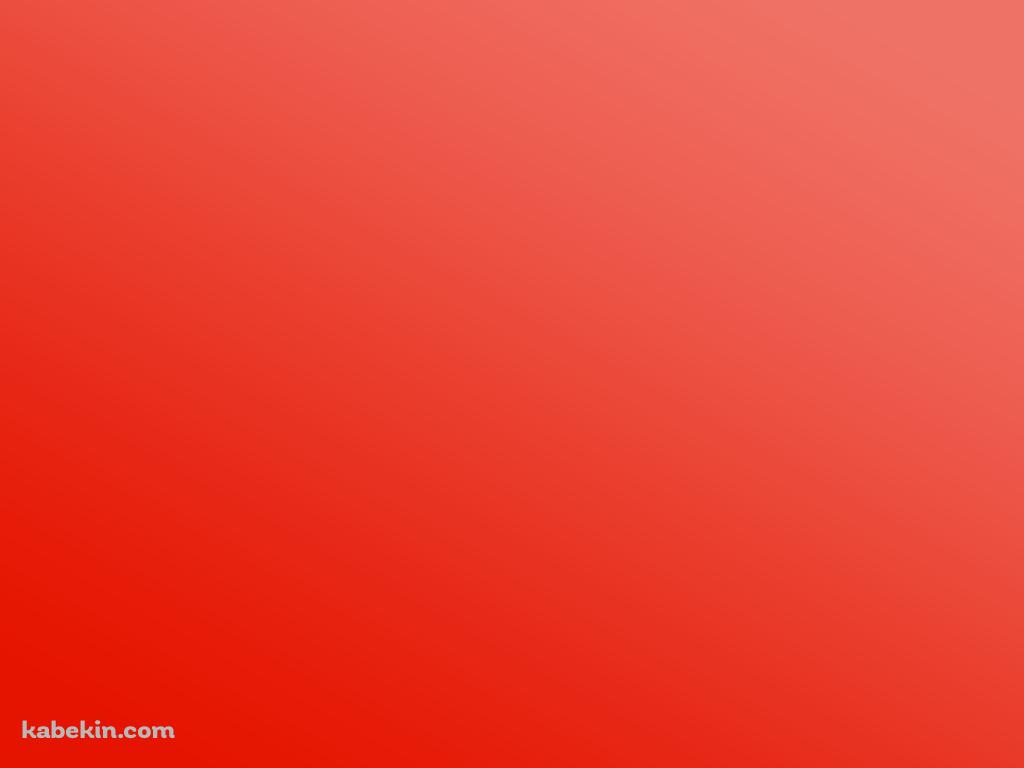ビビッドなオレンジの壁紙(1024px x 768px) 高画質 PC・デスクトップ用