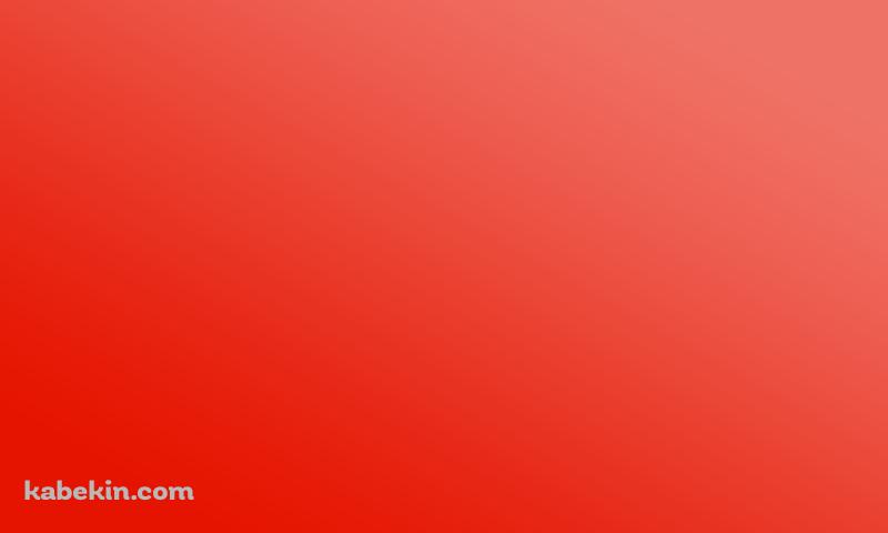 ビビッドなオレンジの壁紙(800px x 480px) 高画質 PC・デスクトップ用