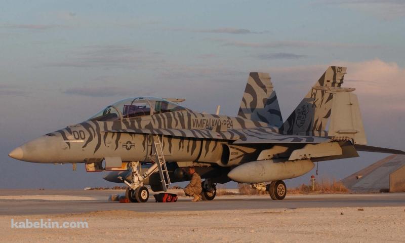 軍用機の壁紙(800px x 480px) 高画質 PC・デスクトップ用