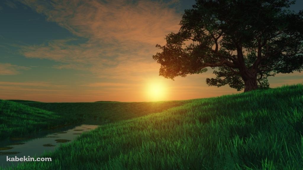 綺麗な夕日と草原の壁紙(1024px x 576px) 高画質 PC・デスクトップ用