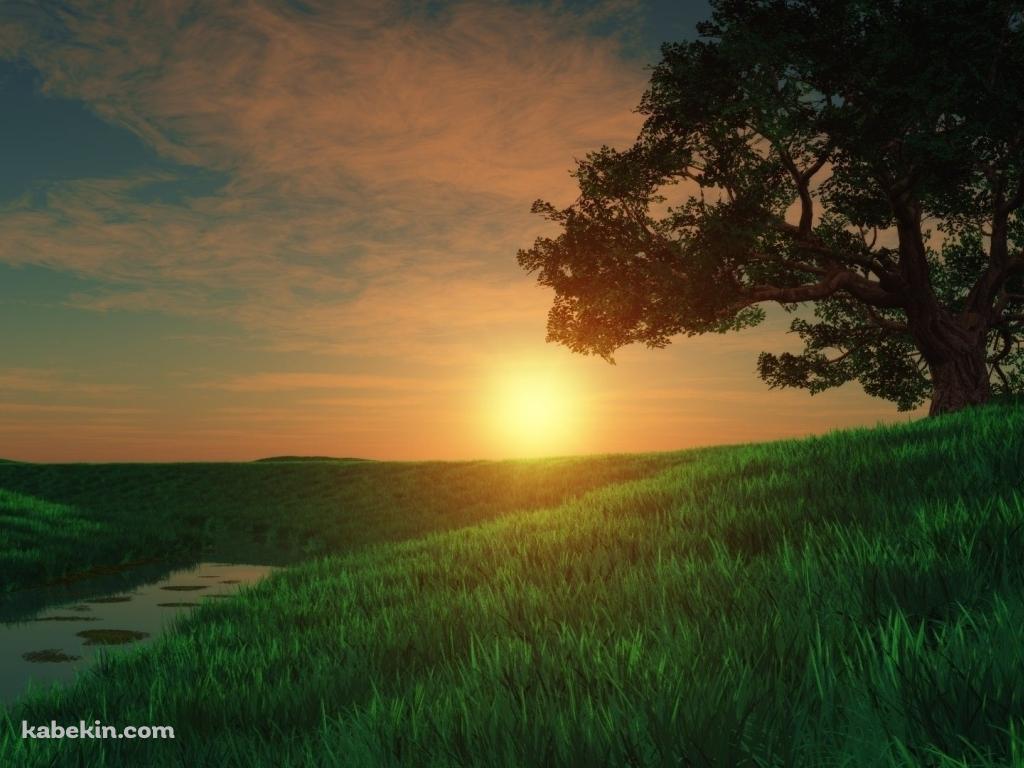 綺麗な夕日と草原の壁紙(1024px x 768px) 高画質 PC・デスクトップ用