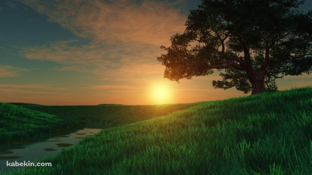 綺麗な夕日と草原の壁紙(1051px x 591px) 高画質 PC・デスクトップ用