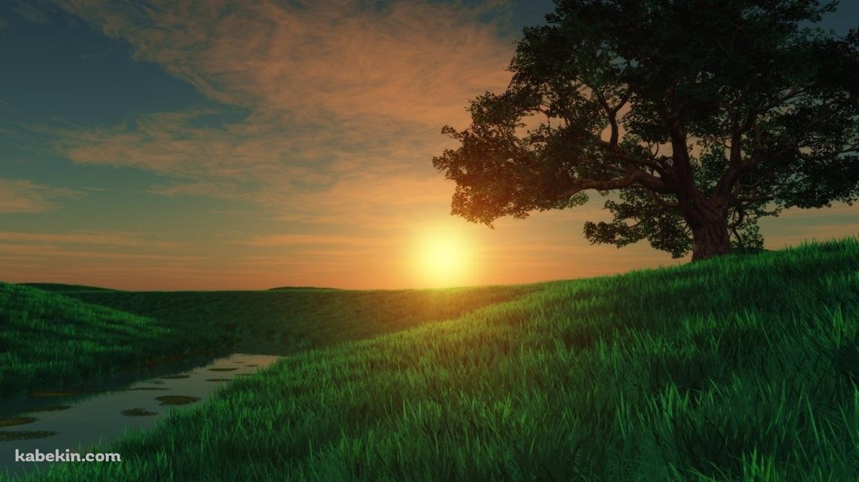 綺麗な夕日と草原の壁紙(1242px x 698px) 高画質 PC・デスクトップ用