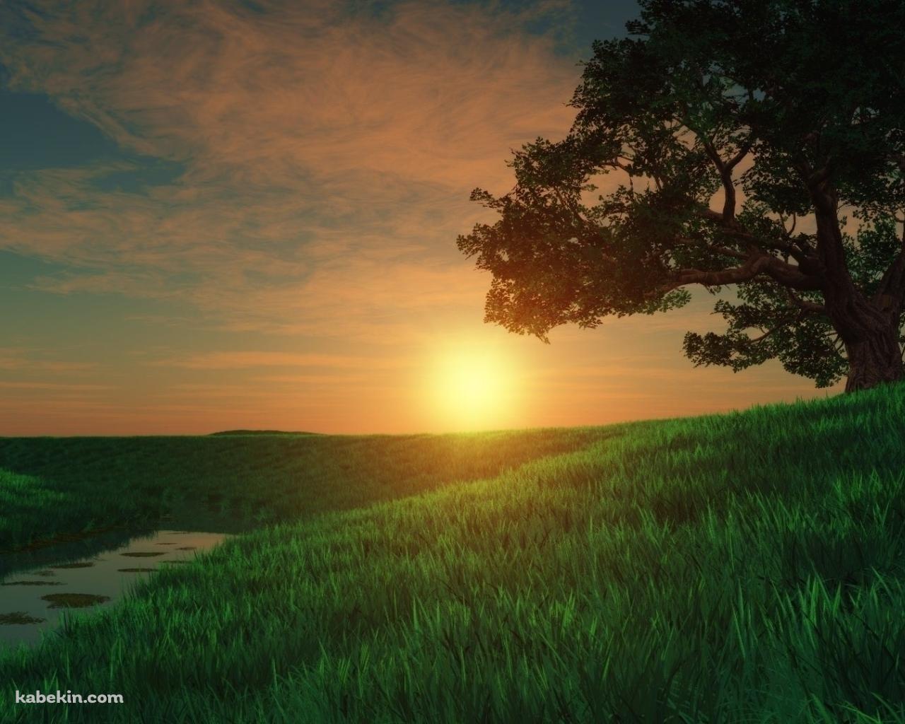 綺麗な夕日と草原の壁紙(1280px x 1024px) 高画質 PC・デスクトップ用