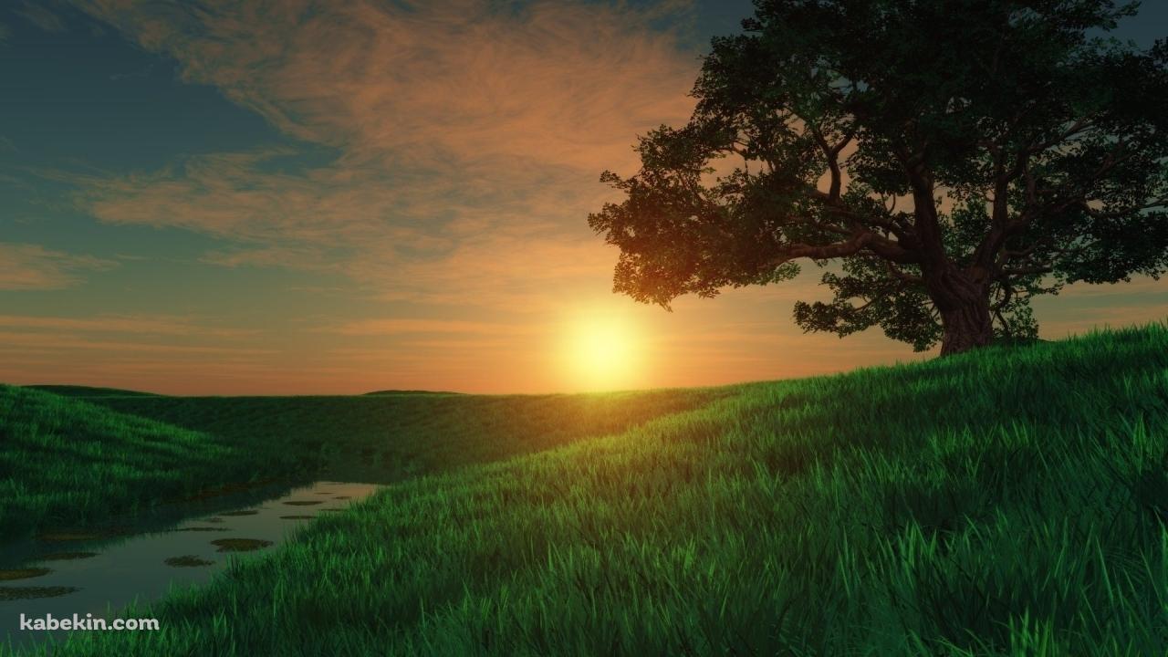 綺麗な夕日と草原の壁紙(1280px x 720px) 高画質 PC・デスクトップ用