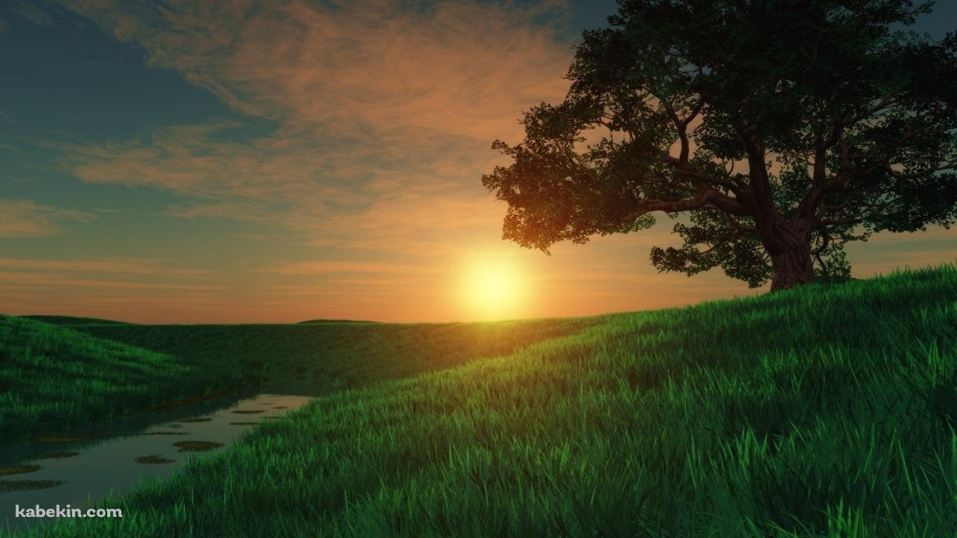 綺麗な夕日と草原の壁紙(1366px x 768px) 高画質 PC・デスクトップ用