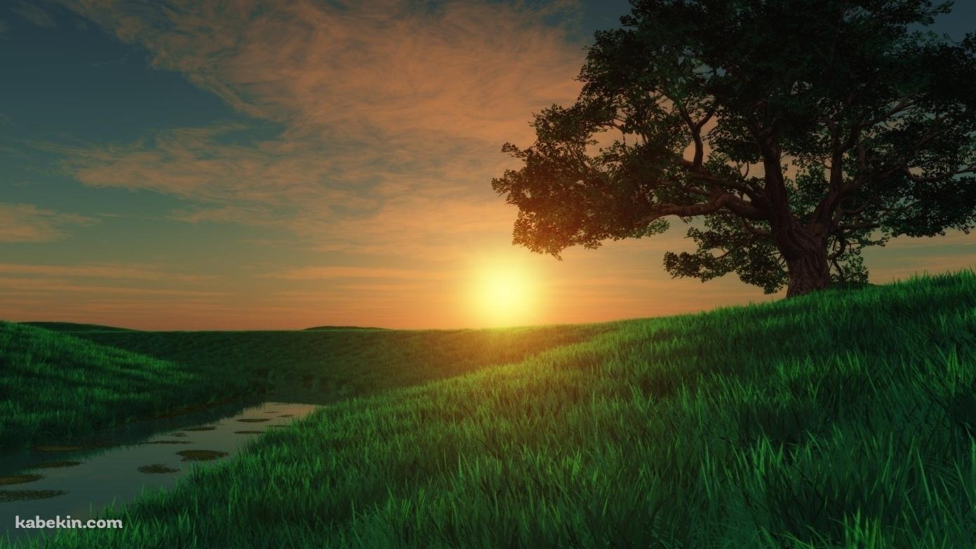 綺麗な夕日と草原の壁紙(1391px x 783px) 高画質 PC・デスクトップ用