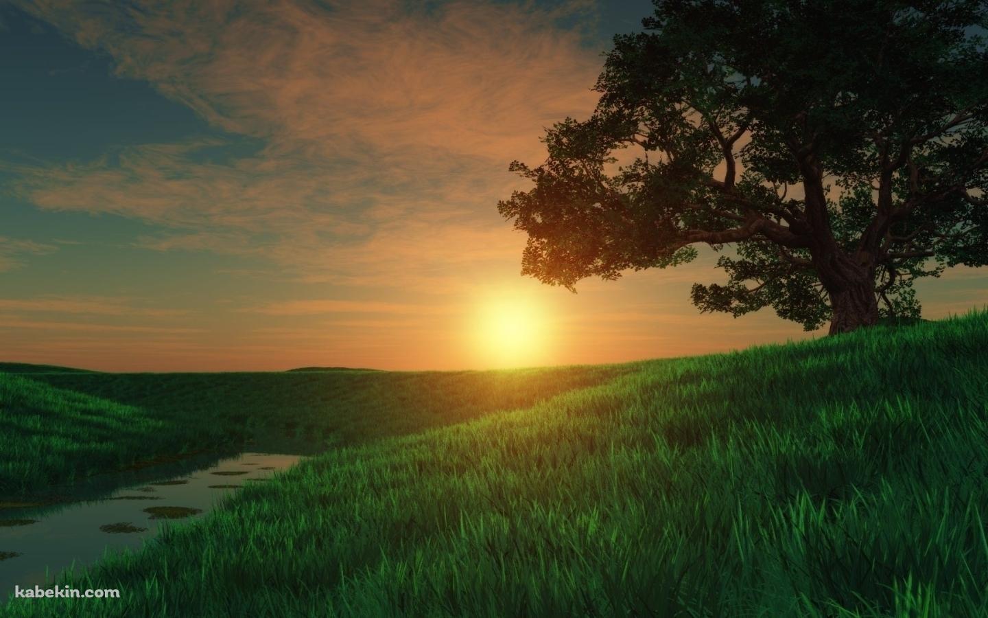 綺麗な夕日と草原の壁紙(1440px x 900px) 高画質 PC・デスクトップ用