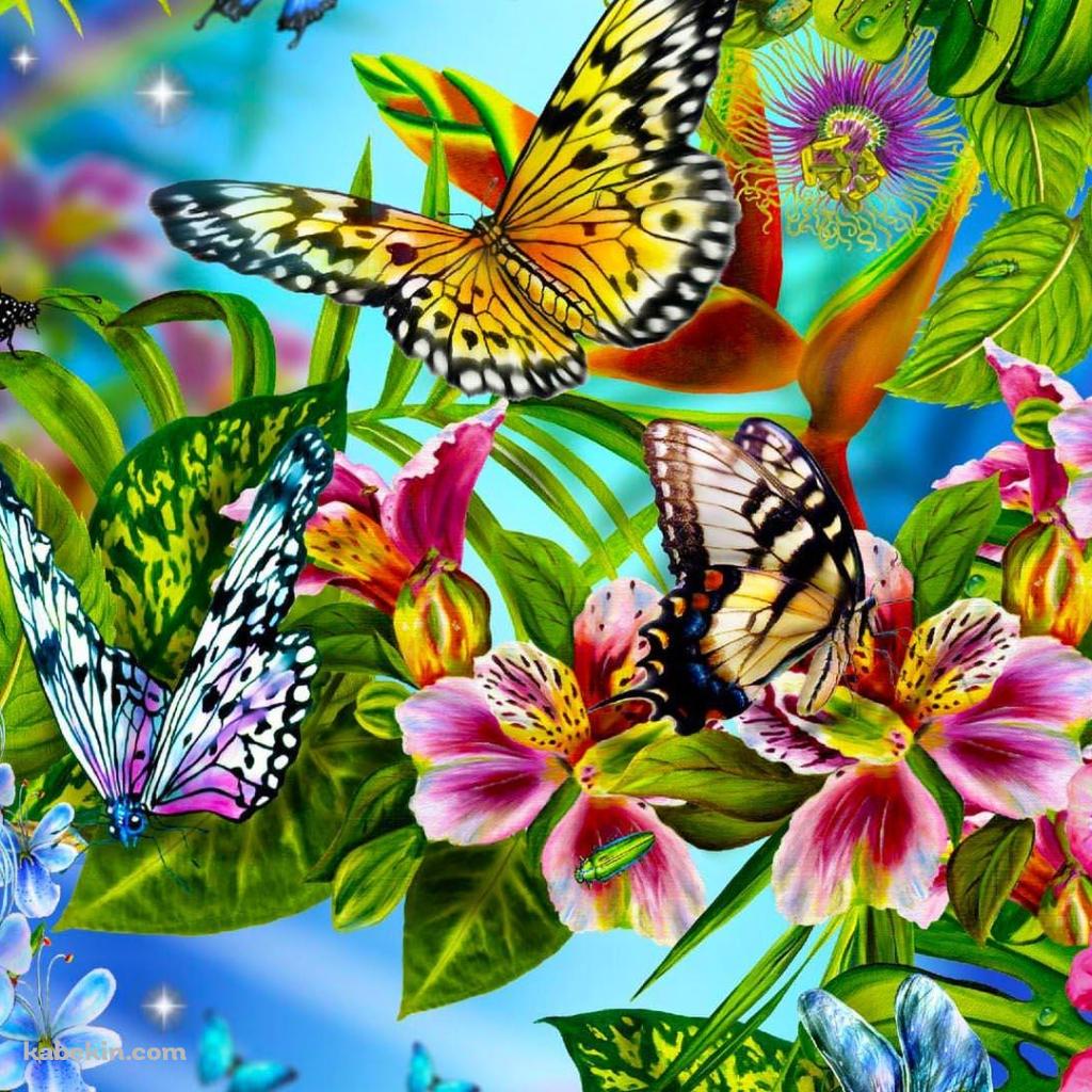 花に群がる蝶(1024x1024px)のデスクトップPC用の壁紙 | 高画質 | 壁紙キングダム