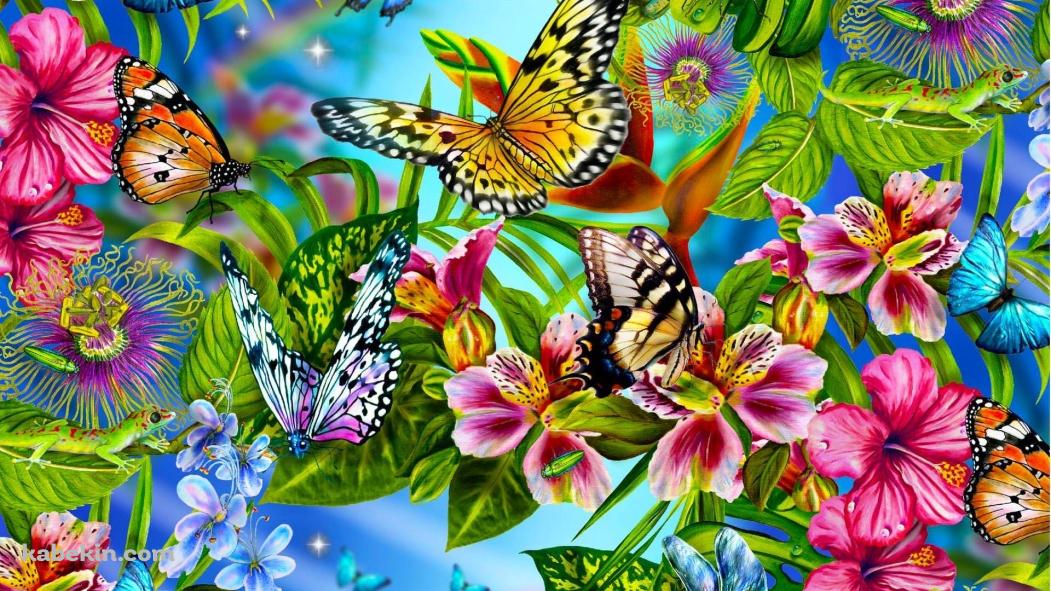 花に群がる蝶の壁紙(1051px x 591px) 高画質 PC・デスクトップ用