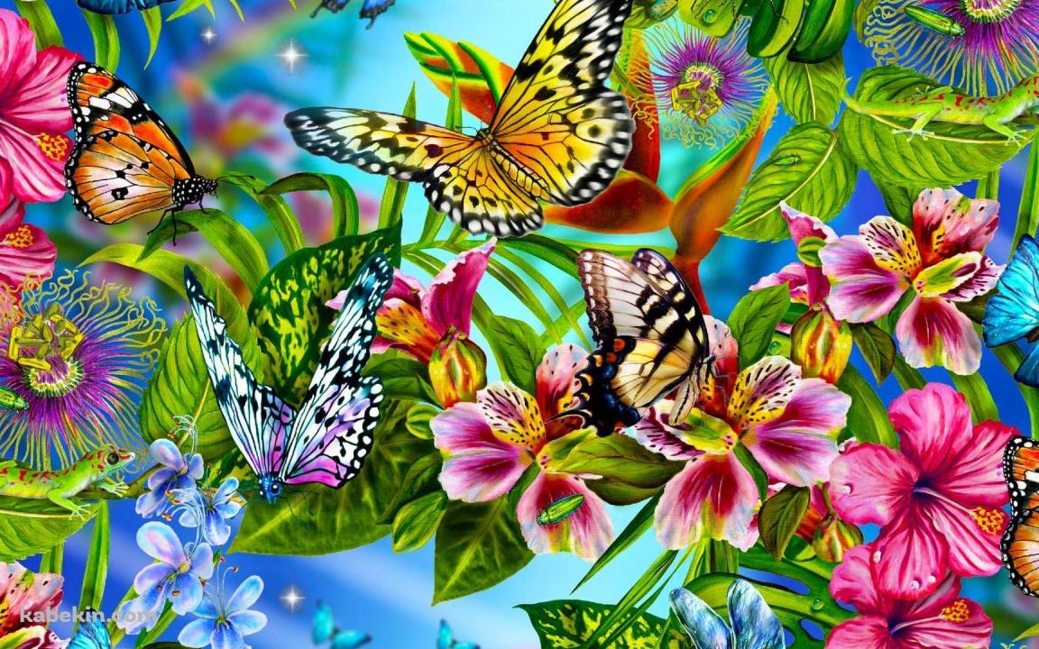 花に群がる蝶の壁紙(1152px x 720px) 高画質 PC・デスクトップ用