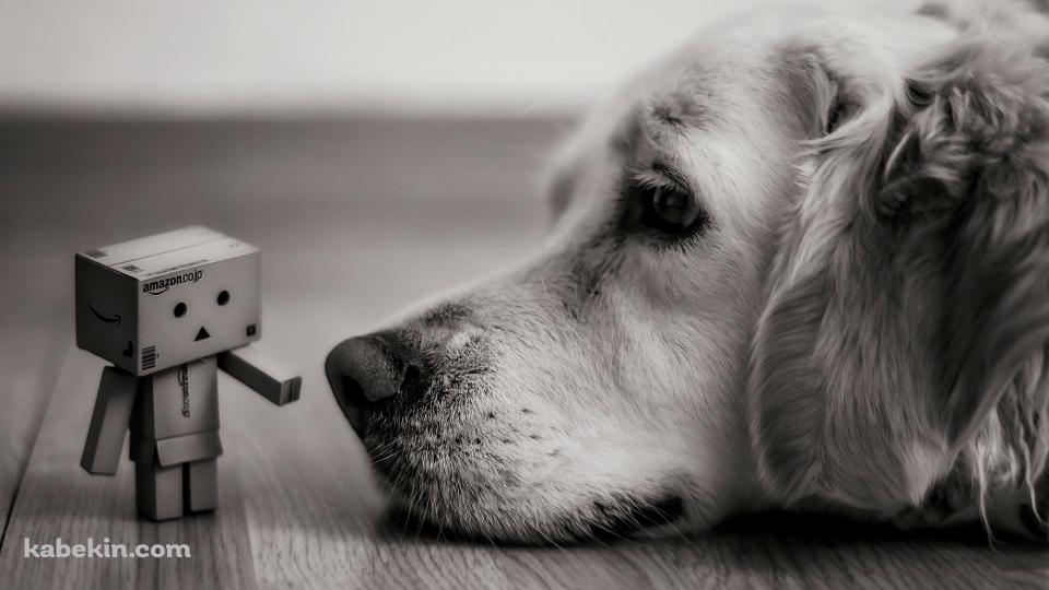 ダンボーと犬の壁紙(960px x 540px) 高画質 PC・デスクトップ用