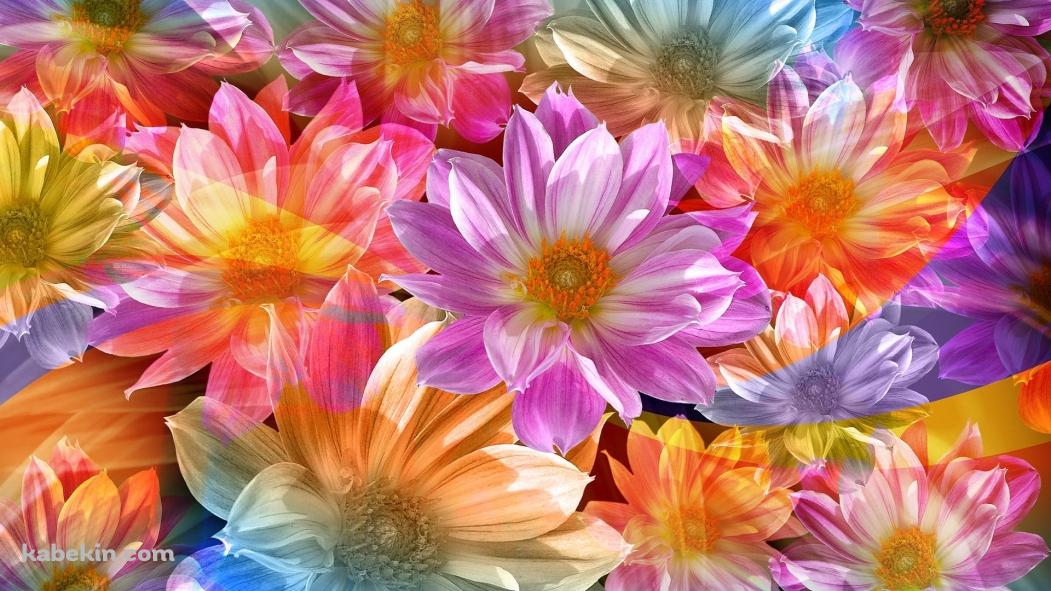 カラフル フラワーアートの壁紙(1051px x 591px) 高画質 PC・デスクトップ用