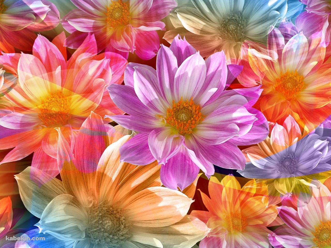 カラフル フラワーアートの壁紙(1280px x 960px) 高画質 PC・デスクトップ用