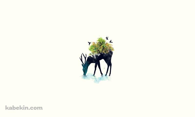鹿 鳥 オシャレ アブストラクト アートの壁紙(800px x 480px) 高画質 PC・デスクトップ用