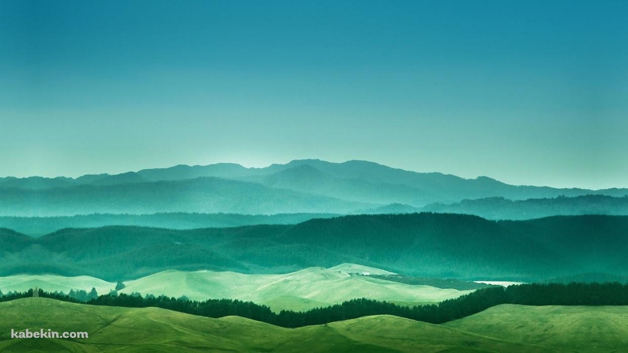 綺麗な緑の山 森 風景の壁紙(1242px x 698px) 高画質 PC・デスクトップ用