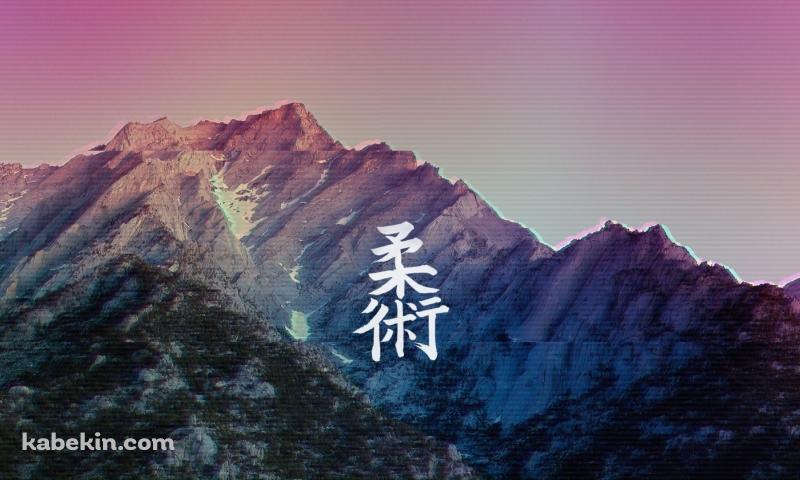 柔術の壁紙(800px x 480px) 高画質 PC・デスクトップ用