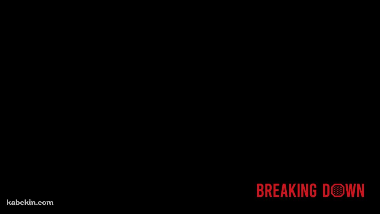BREAKING DOWNの壁紙(1242px x 698px) 高画質 PC・デスクトップ用