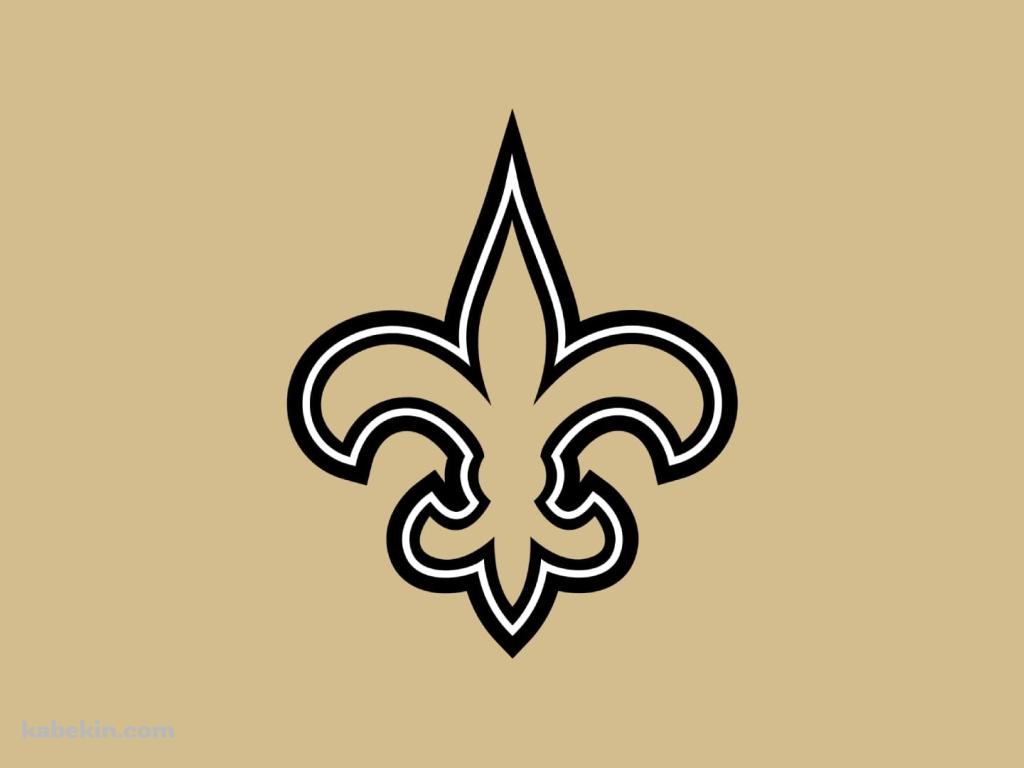 NFL アメフト ニューオーリンズ・セインツの壁紙(1024px x 768px) 高画質 PC・デスクトップ用