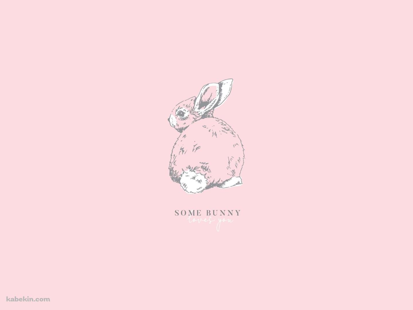 Some Bunny かわいい兎の壁紙(1440px x 1080px) 高画質 PC・デスクトップ用