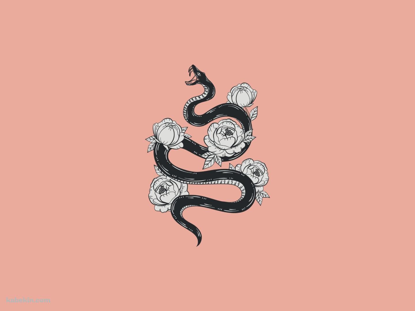 花と蛇 ピンクの壁紙(1440px x 1080px) 高画質 PC・デスクトップ用