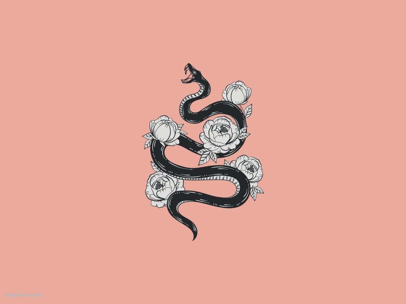 花と蛇 ピンクの壁紙(1680px x 1260px) 高画質 PC・デスクトップ用