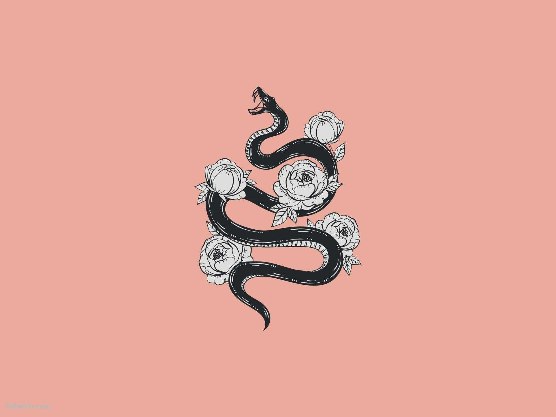 花と蛇 ピンクの壁紙(1920px x 1440px) 高画質 PC・デスクトップ用