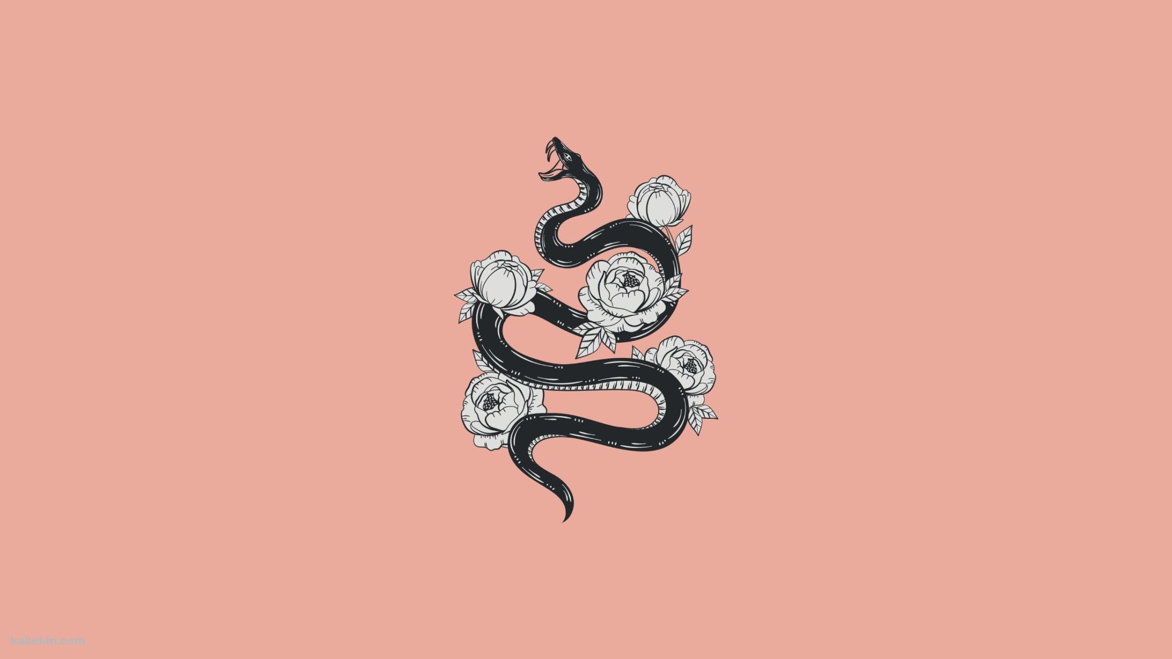 花と蛇 ピンクの壁紙(2400px x 1350px) 高画質 PC・デスクトップ用