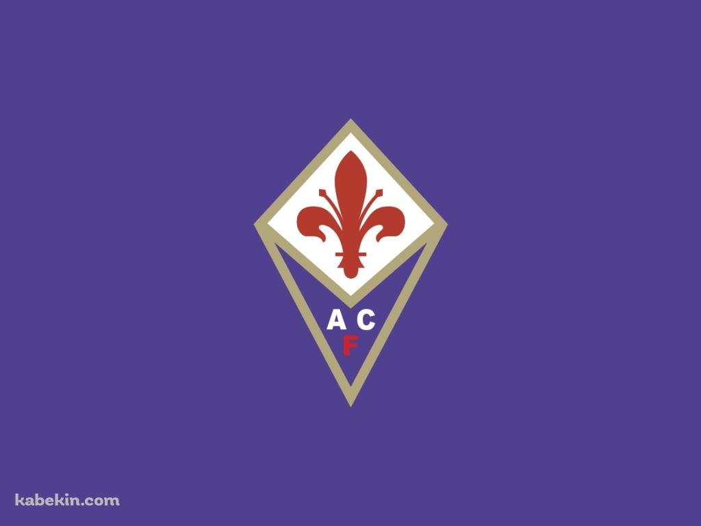 ACFフィオレンティーナの壁紙(1024px x 768px) 高画質 PC・デスクトップ用