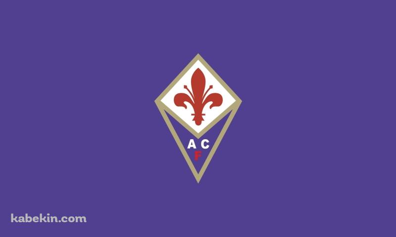 ACFフィオレンティーナの壁紙(800px x 480px) 高画質 PC・デスクトップ用
