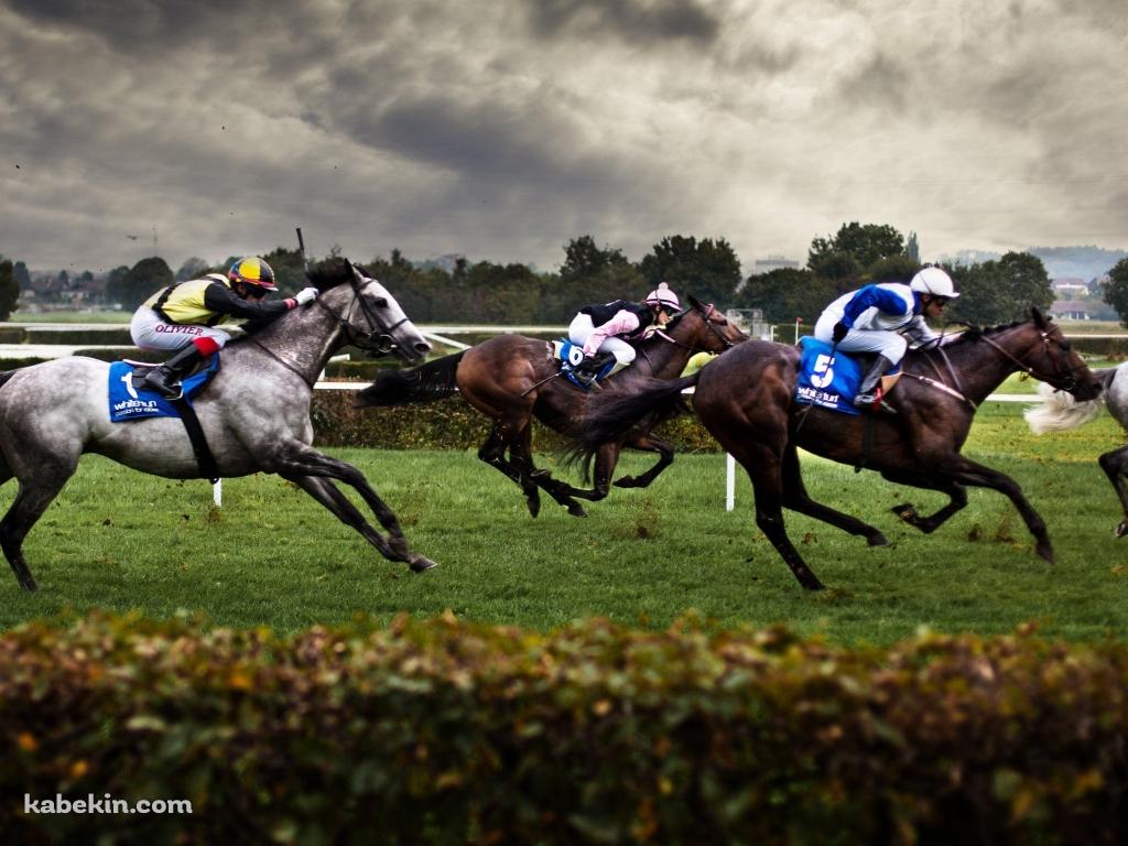 競馬 サラブレッド 公営ギャンブルの壁紙(1024px x 768px) 高画質 PC・デスクトップ用