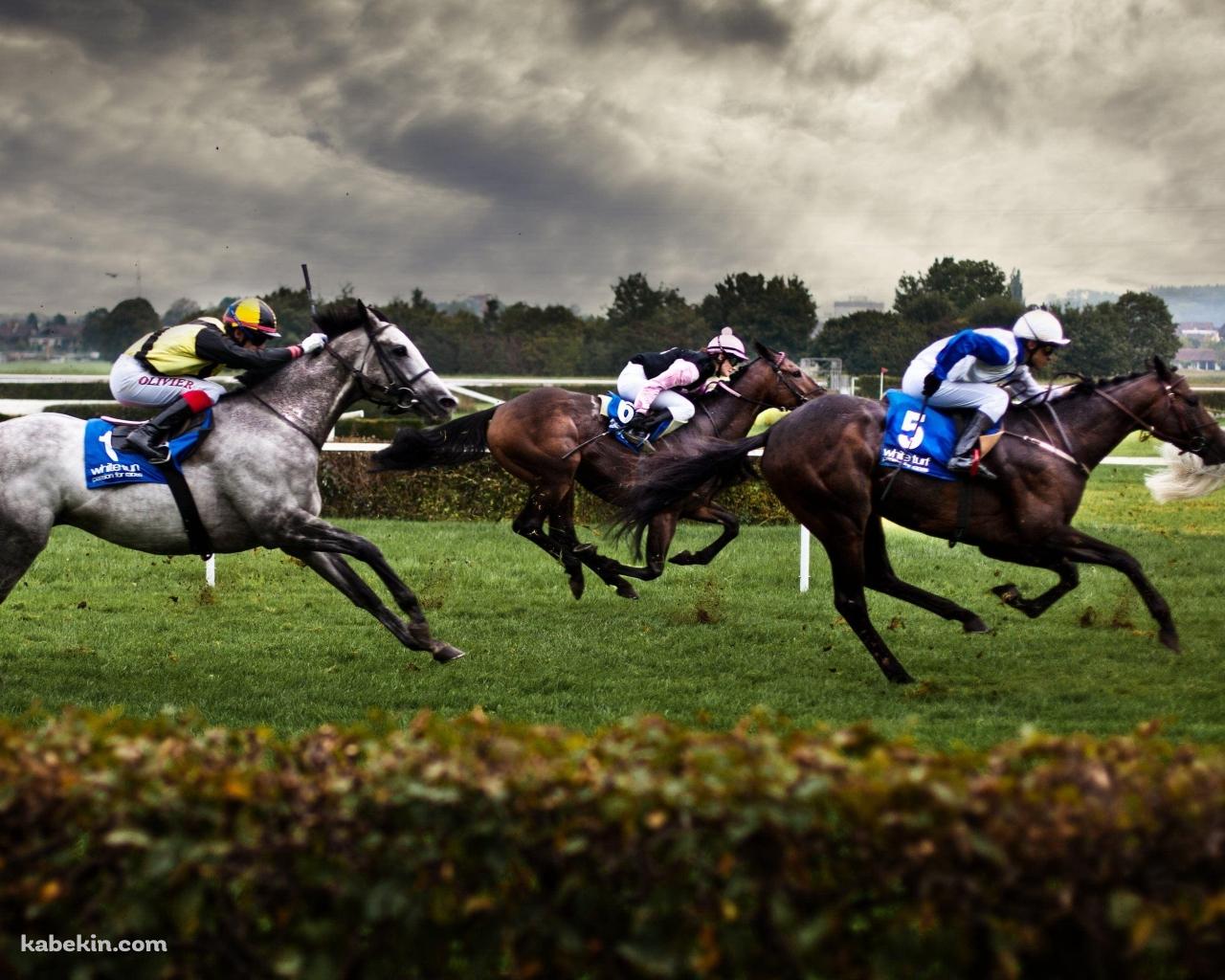 競馬 サラブレッド 公営ギャンブルの壁紙(1280px x 1024px) 高画質 PC・デスクトップ用