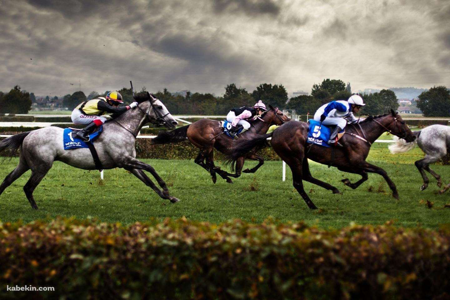 競馬 サラブレッド 公営ギャンブルの壁紙(1440px x 960px) 高画質 PC・デスクトップ用