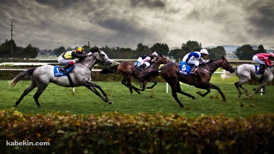 競馬 サラブレッド 公営ギャンブルの壁紙(960px x 540px) 高画質 PC・デスクトップ用