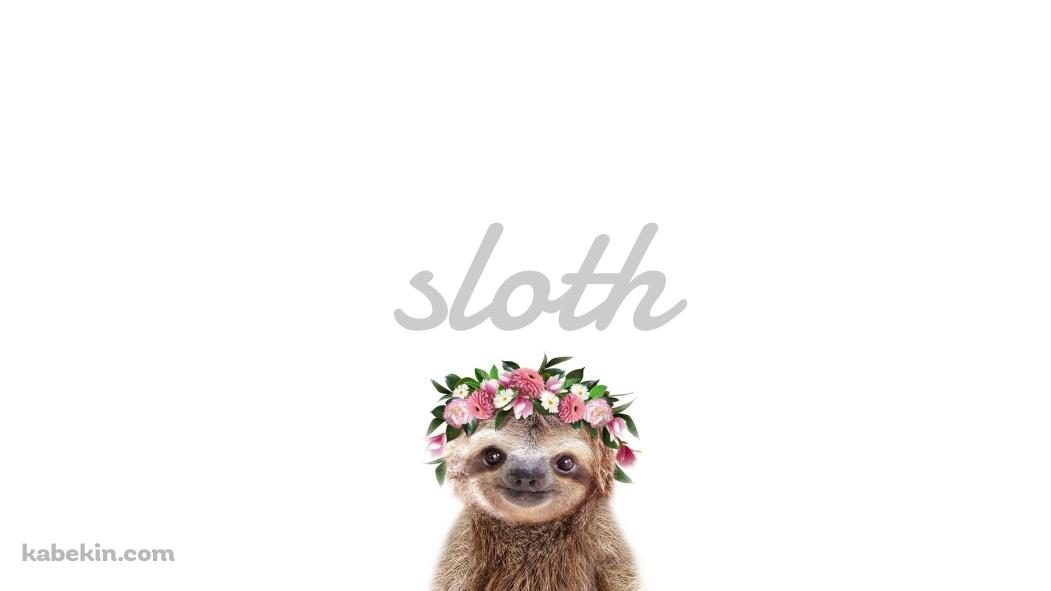 かわいいナマケモノ Slothの壁紙(1051px x 591px) 高画質 PC・デスクトップ用