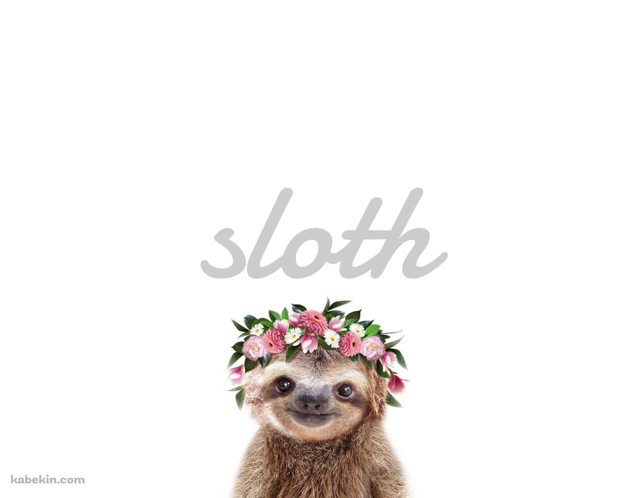 かわいいナマケモノ Slothの壁紙(1280px x 1024px) 高画質 PC・デスクトップ用
