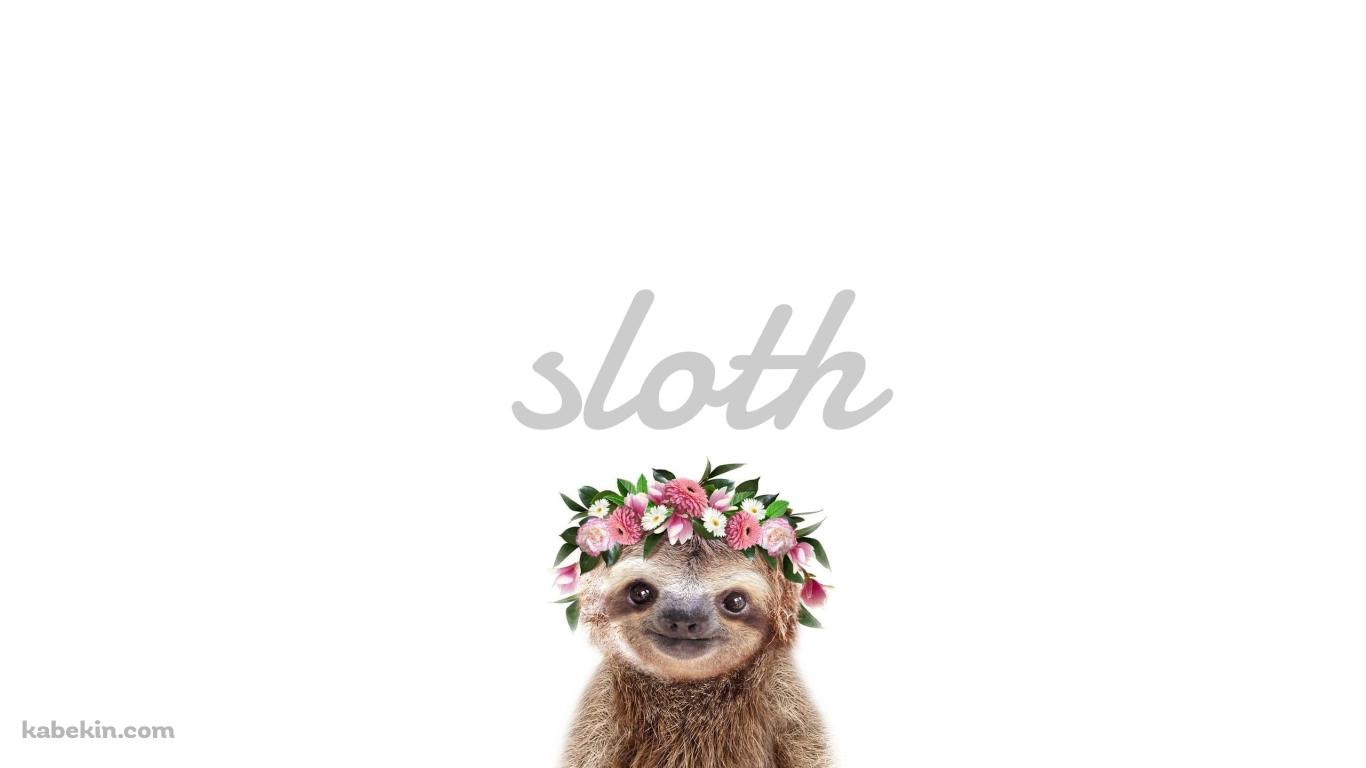 かわいいナマケモノ Slothの壁紙(1366px x 768px) 高画質 PC・デスクトップ用