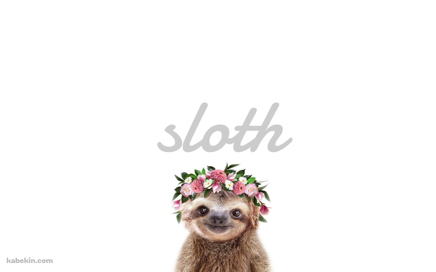 かわいいナマケモノ Slothの壁紙(1440px x 900px) 高画質 PC・デスクトップ用