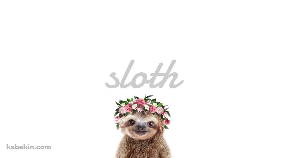 かわいいナマケモノ Slothの壁紙(960px x 540px) 高画質 PC・デスクトップ用