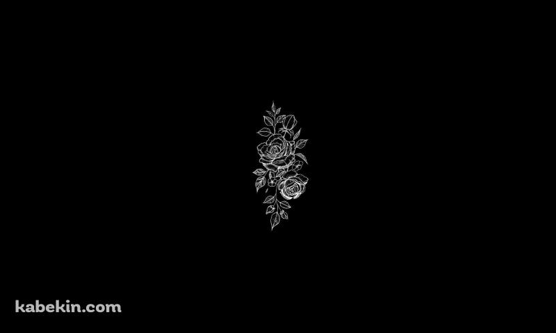 手書きの薔薇 黒い背景の壁紙(800px x 480px) 高画質 PC・デスクトップ用