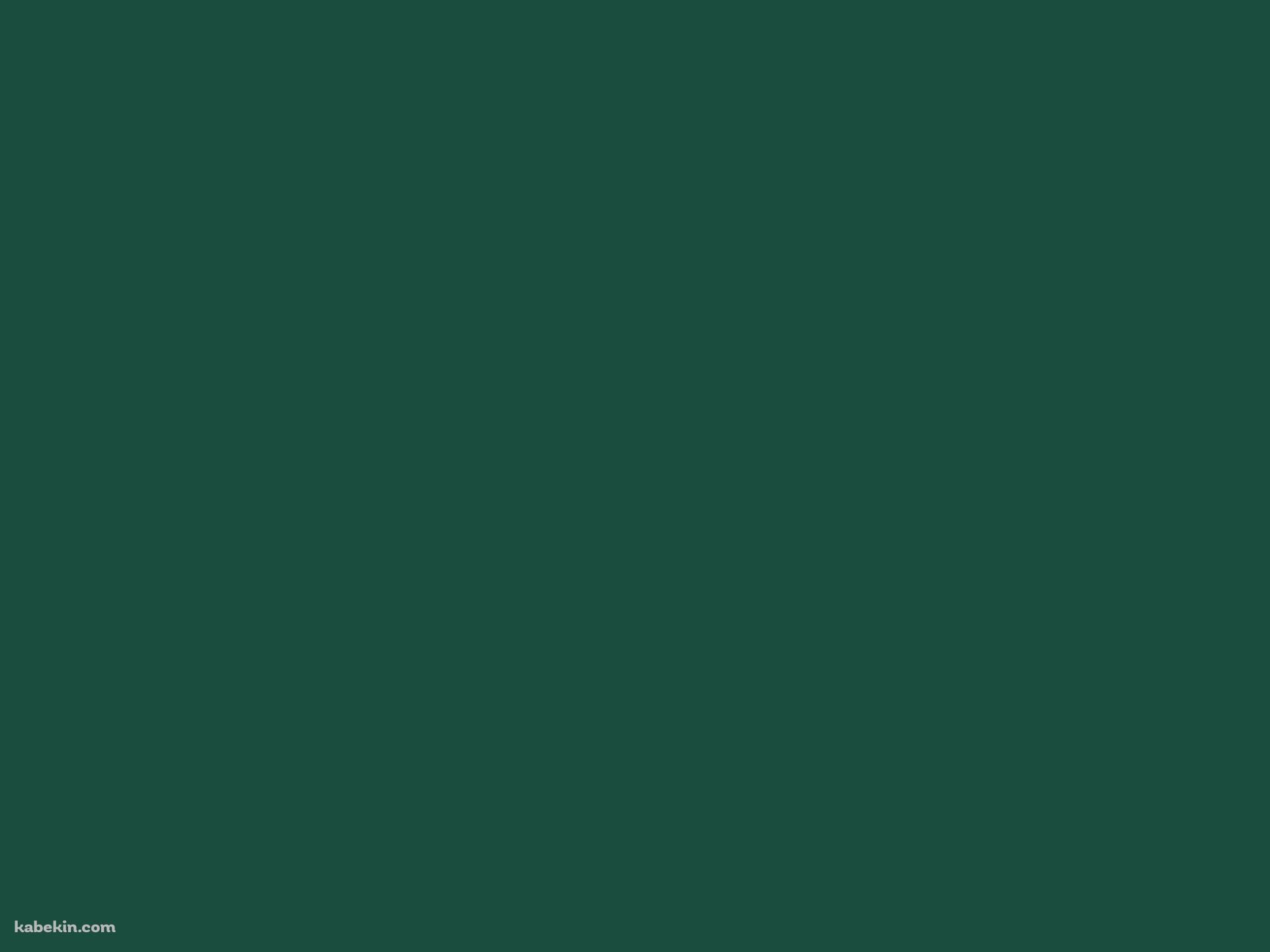 モス・グリーン / シンプル / 単色 / 深緑の壁紙(1920px x 1440px) 高画質 PC・デスクトップ用