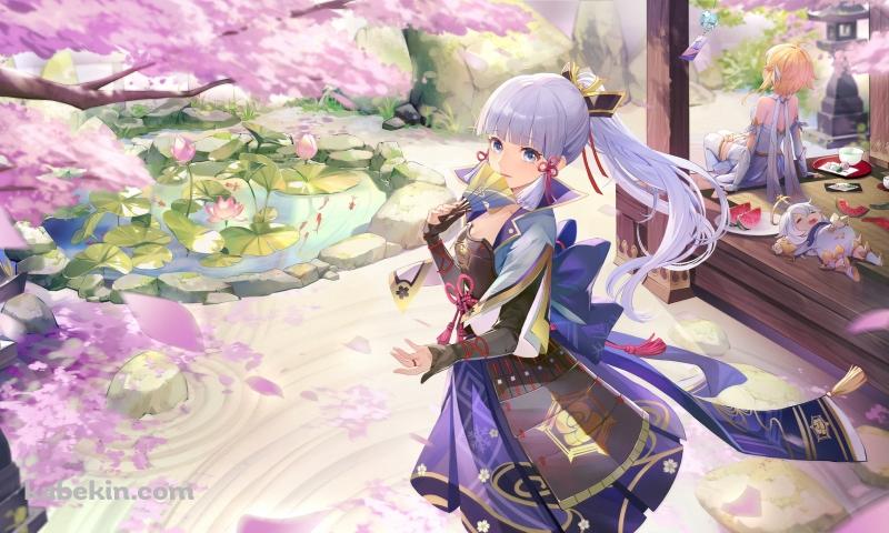 原神インパクト / 神里綾華 / 綺麗の壁紙(800px x 480px) 高画質 PC・デスクトップ用