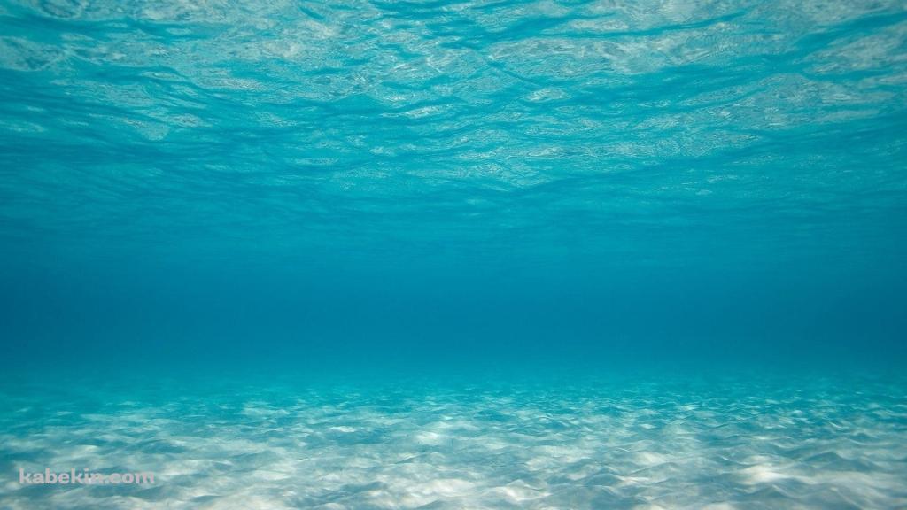 海底 海中 澄んだ海の壁紙(1024px x 576px) 高画質 PC・デスクトップ用