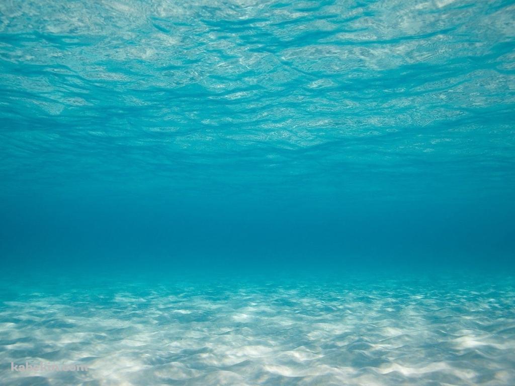 海底 海中 澄んだ海の壁紙(1024px x 768px) 高画質 PC・デスクトップ用
