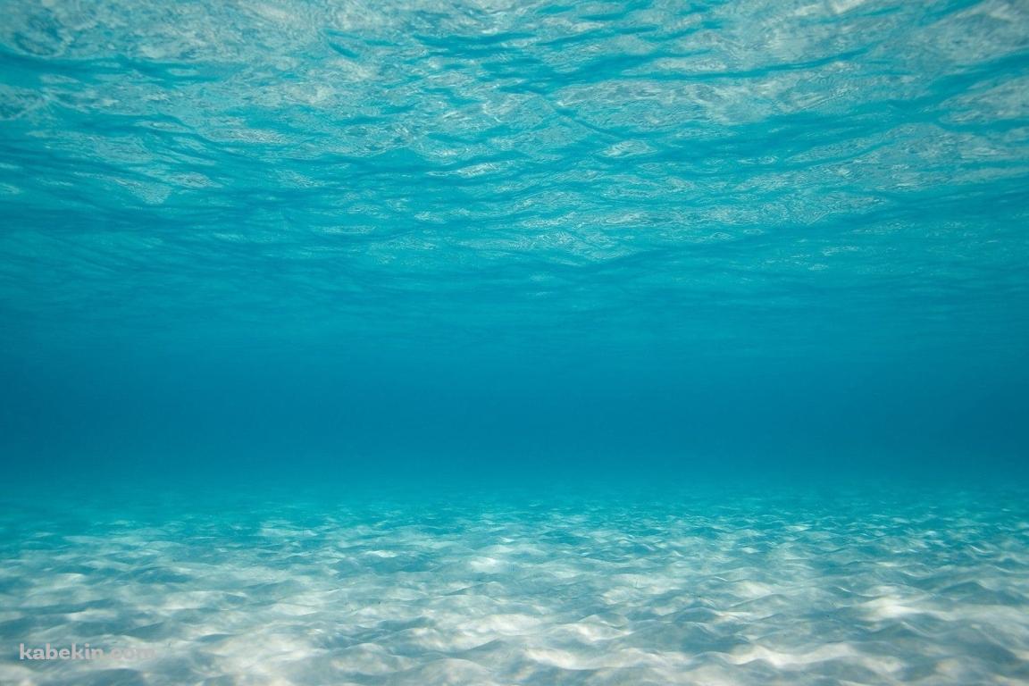 海底 海中 澄んだ海の壁紙(1152px x 768px) 高画質 PC・デスクトップ用