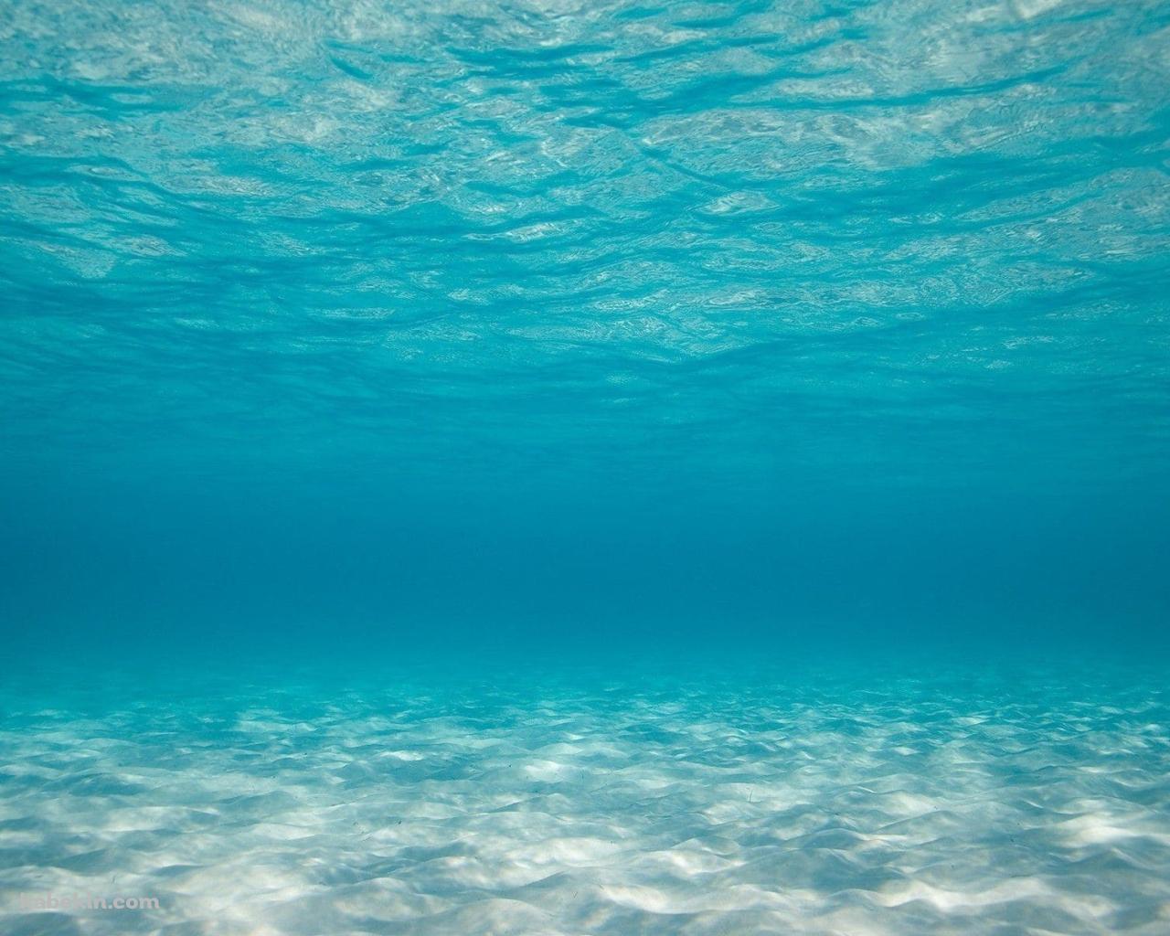海底 海中 澄んだ海の壁紙(1280px x 1024px) 高画質 PC・デスクトップ用